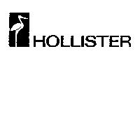 HOLLISTER & STYLIZED BIRD