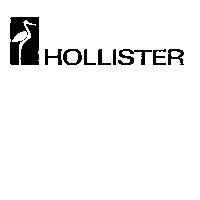 HOLLISTER & STYLIZED BIRD