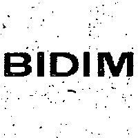 BIDIM 畢挺 