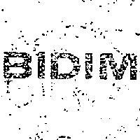 BIDIM 畢挺 