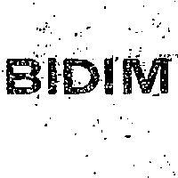 BIDIM 畢挺 