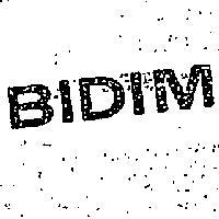 BIDIM 畢挺 
