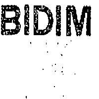 BIDIM 軍挺 