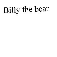 Billy the Bear