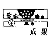 成果及圖 SYMCOMPLEX