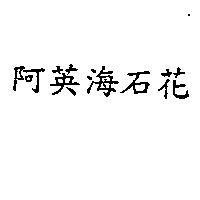 阿英海石花