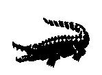 鱷魚圖
