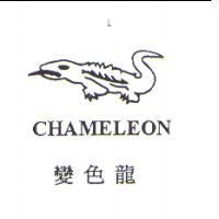 變色龍 CHAMELEON 及圖