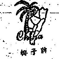 椰子牌