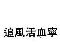 追風活血寧