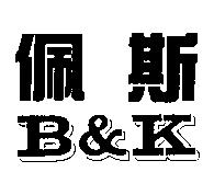 佩斯及 B&K 設計圖