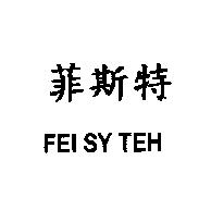 菲斯特 FEISY TEH