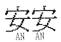 安安 AN AN