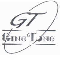 GT GING TONG 及圖