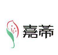 嘉蒂及圖