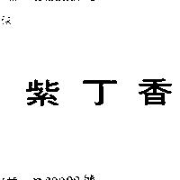 紫丁香