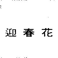 迎春花