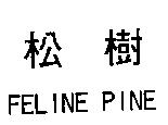松樹 FELINE PINE