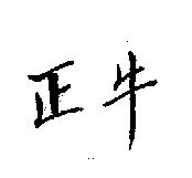 正牛