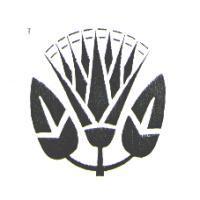 深厚國際有限公司標章