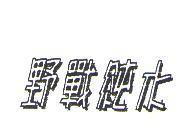 野戰純水