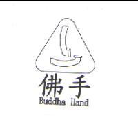佛手及圖 Buddha Hand