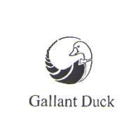 GALLANT DUCK 及圖