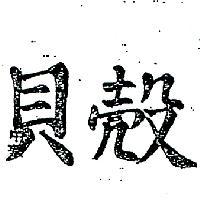 貝殼