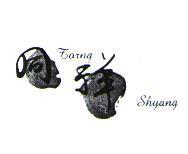 同祥 Torng Shyang 及圖