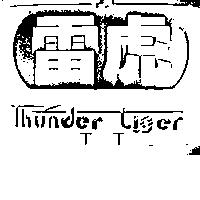雷虎 THUNDER TIGER TT 