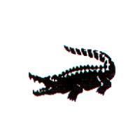 鱷魚圖