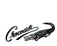 Crocodile 及圖