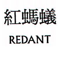 紅螞蟻 REDANT