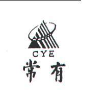 常有 CYE 及圖