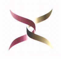X-logo 〈彩色〉