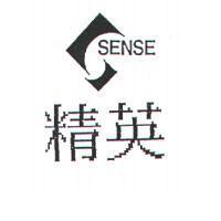 精英 SENSE 及圖