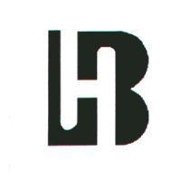 帛漢股份有限公司標章