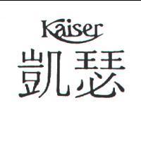 凱瑟 KAISER