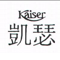 凱瑟 KAISER