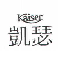 凱瑟 KAISER