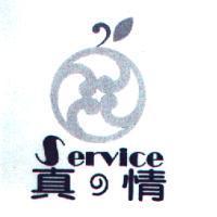 真の情 SERVICE 及圖