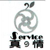 真の情 SERVICE 及圖