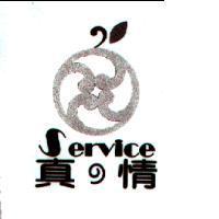 真の情 SERVICE 及圖