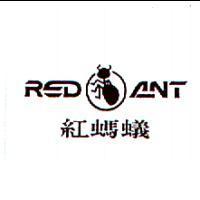 紅螞蟻 RED ANT 及圖