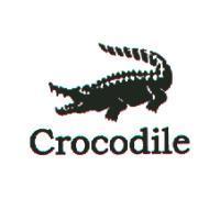 Crocodile 及鱷魚圖
