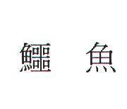 鱷魚