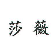 莎薇
