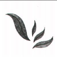 林榮祥標章