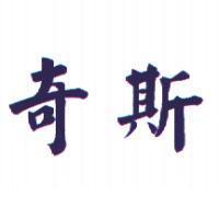 奇斯