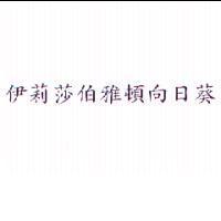 伊莉莎伯雅頓向日葵